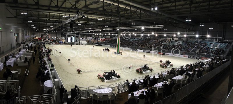 panoramica dressage1.jpg